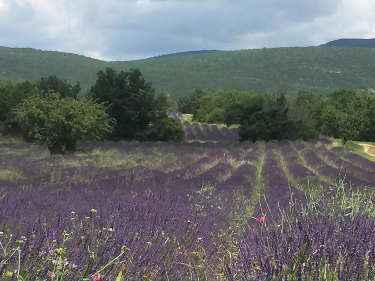 Holiday home Gite Coquelicots Montsalier